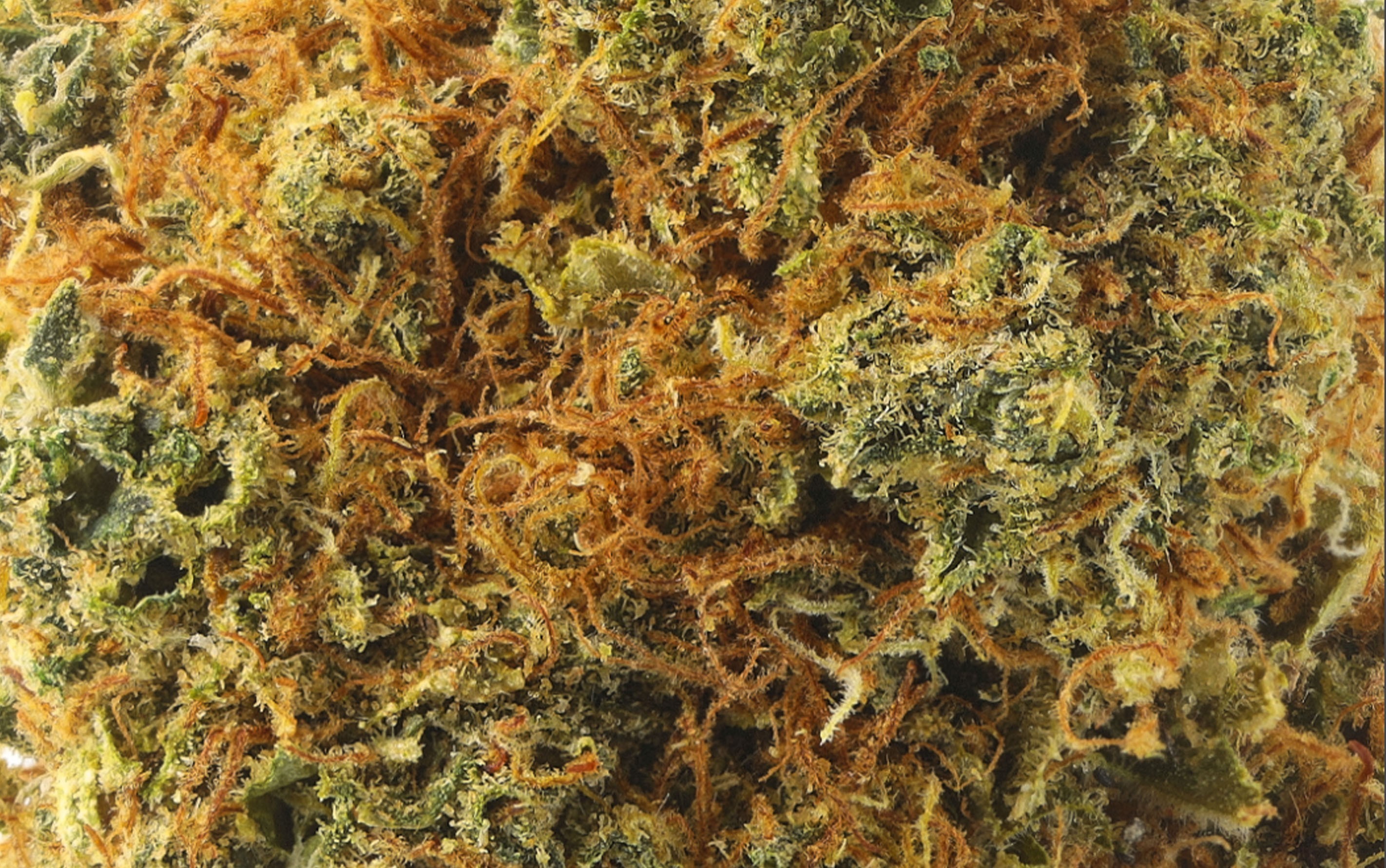 Orangello - Fleurs CBD