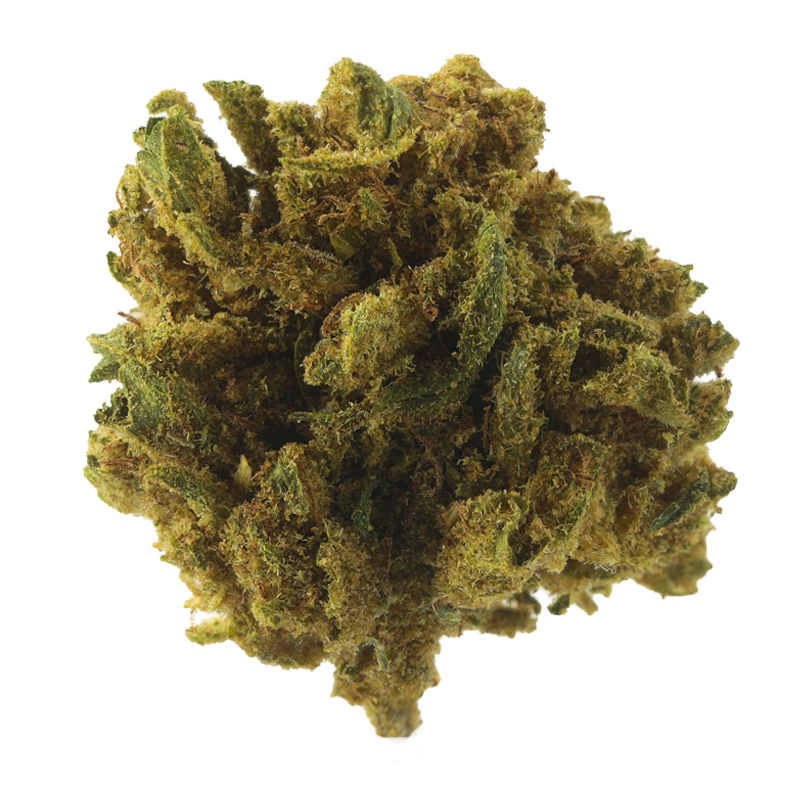 White Dawg Small Bud - Fleurs CBD