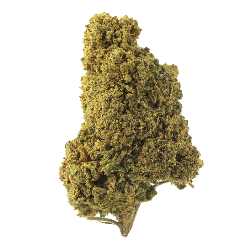 White Dawg - Fleurs CBD