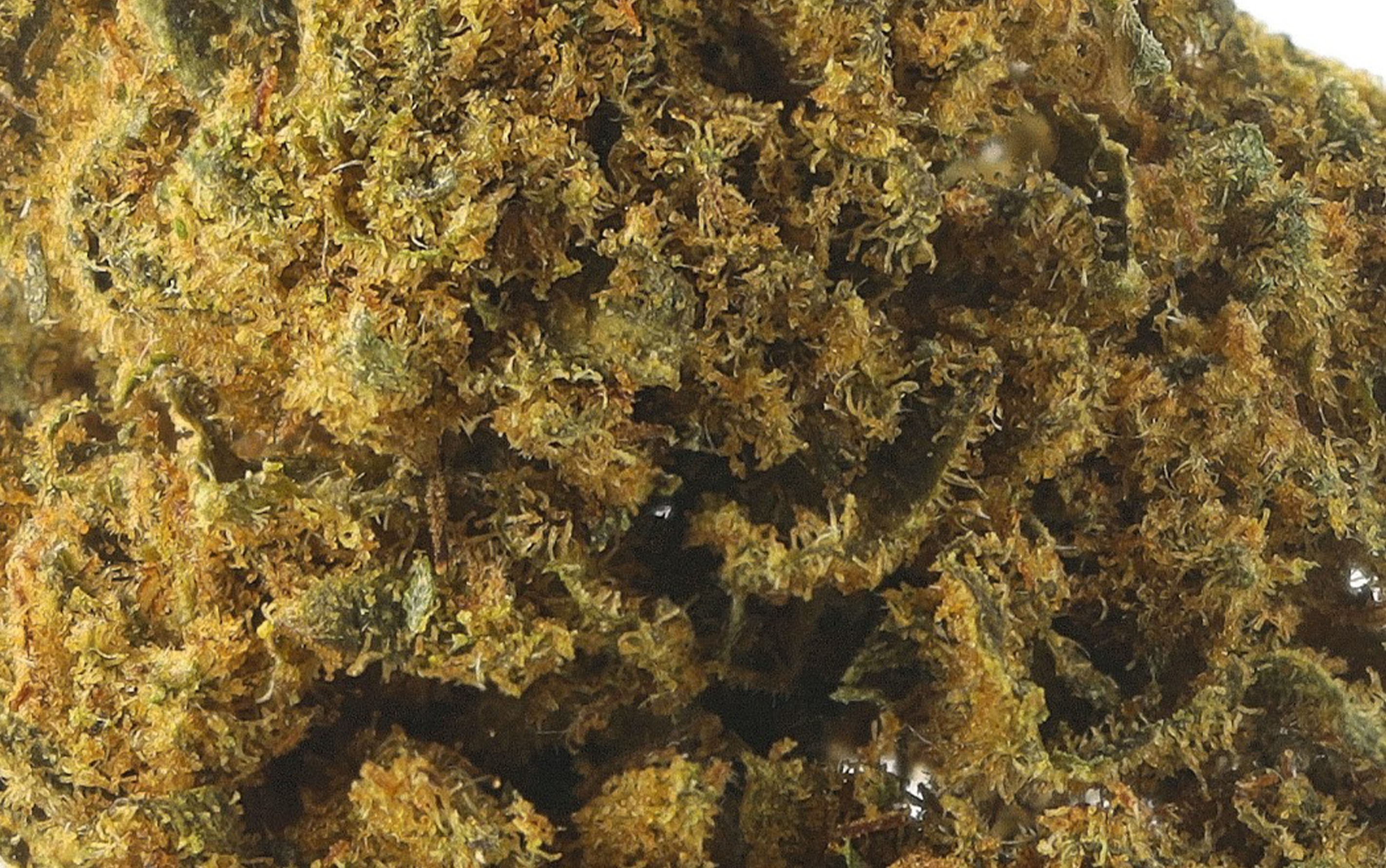 Cannatonic Small Bud - Fleurs CBD