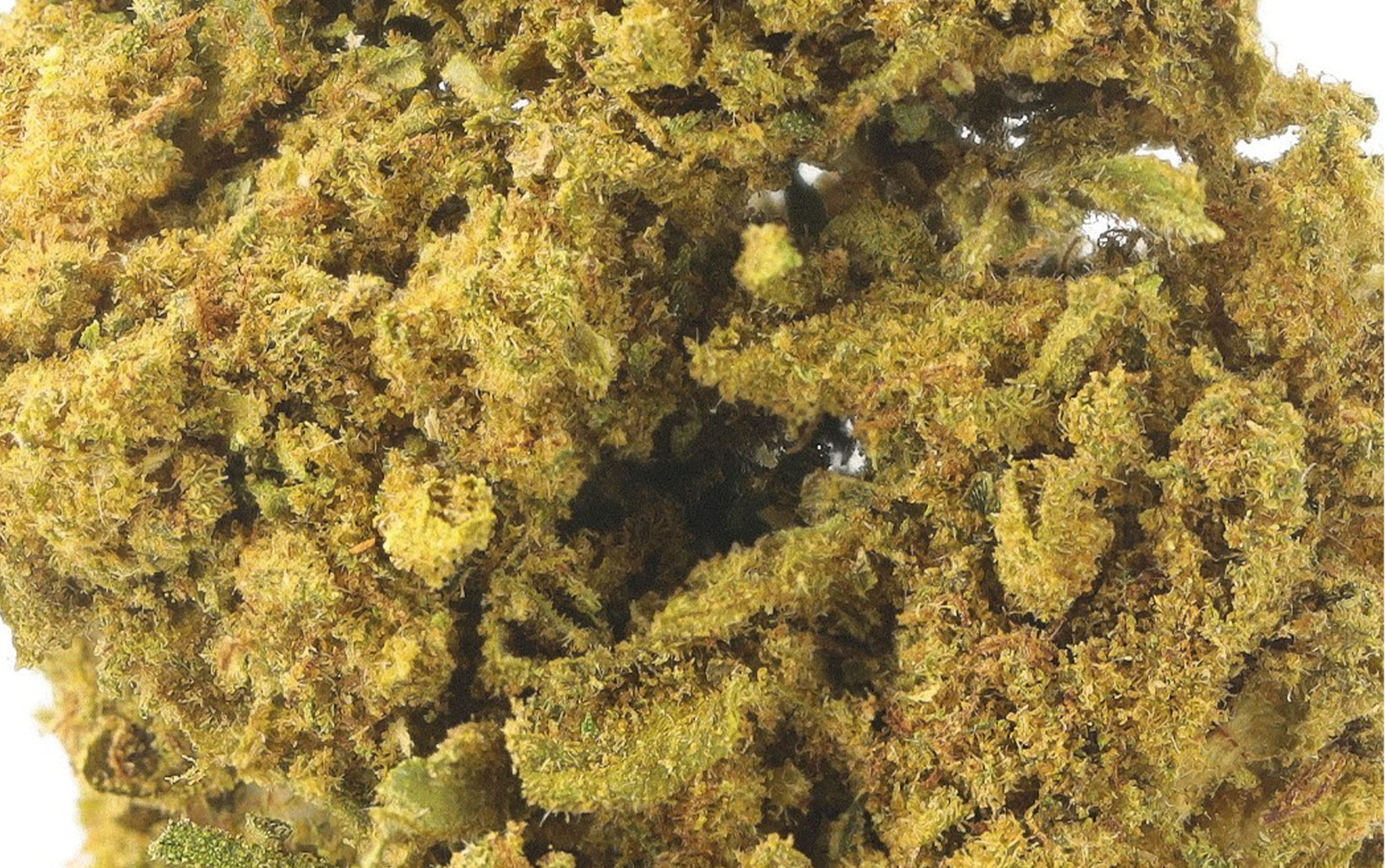 Cannatonic - Fleurs CBD