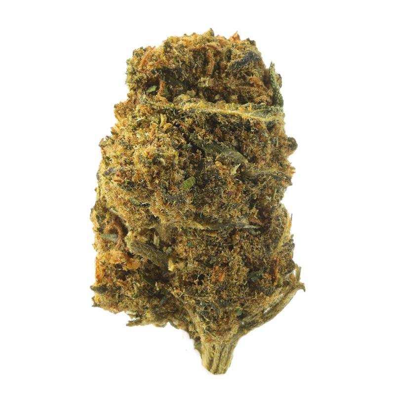 Hawaian Haze Small Bud – Fleurs CBD