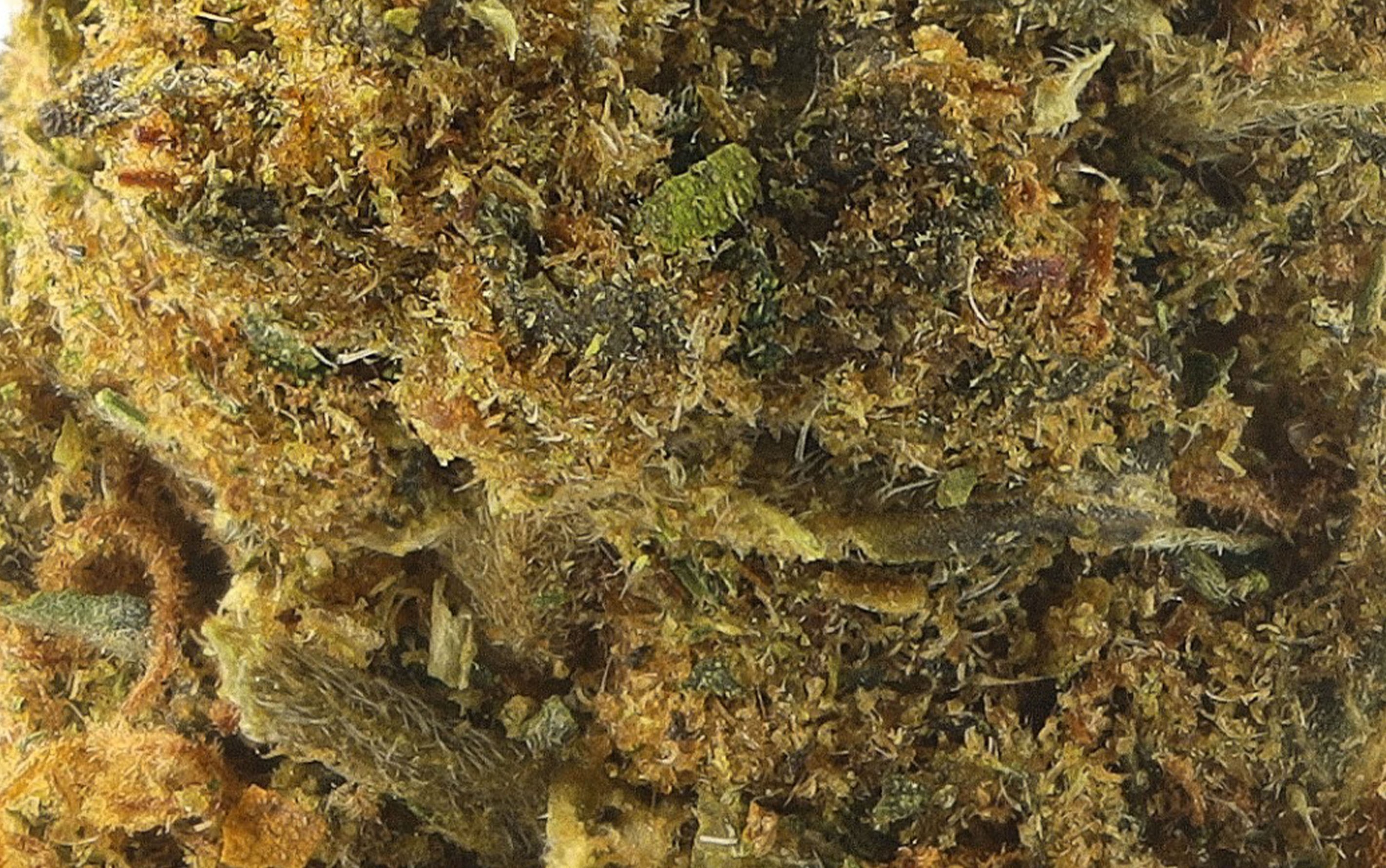 Hawaian Haze Small Bud – Fleurs CBD