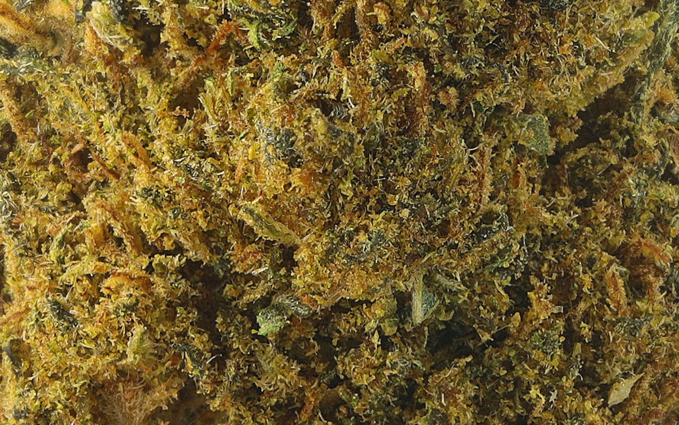 Hawaian Haze - Fleurs CBD