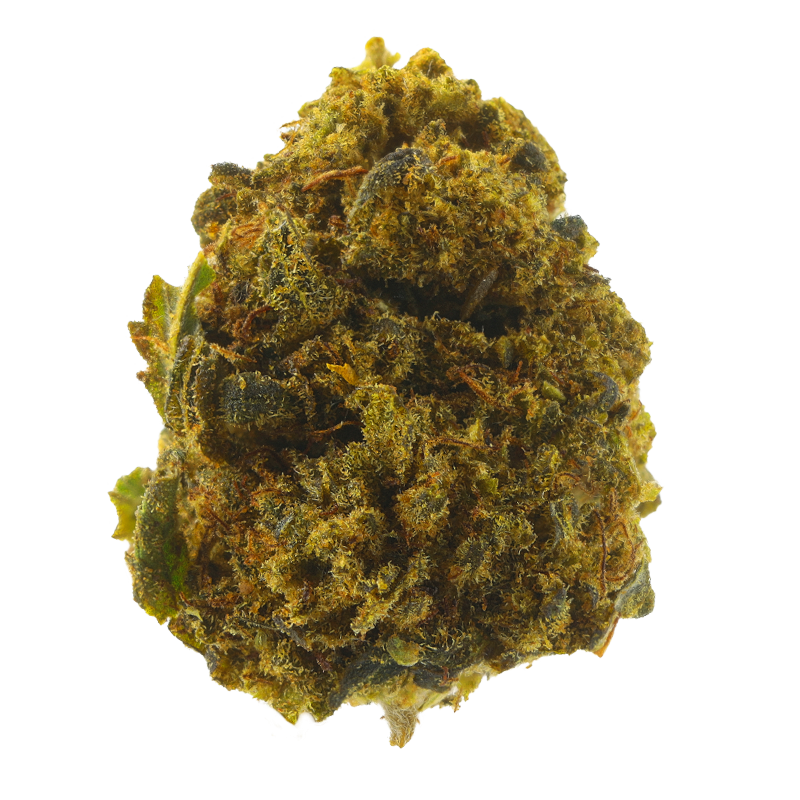 Power Gorilla Bomb – Fleurs CBD Small Bud