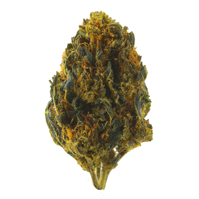 Power Asteroid OG – Fleurs CBD Small Bud