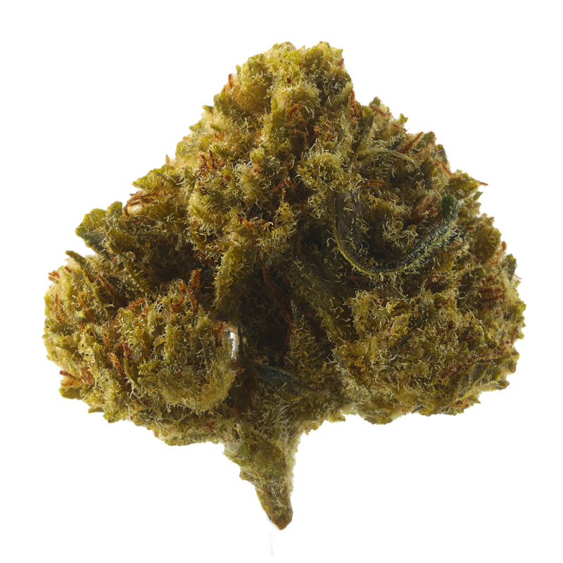 Power White Widow – Fleurs CBD Small Bud