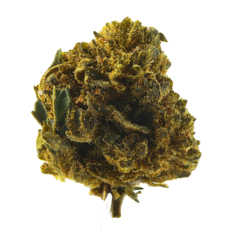 Power Thunder Kush – Fleurs CBD Small Bud