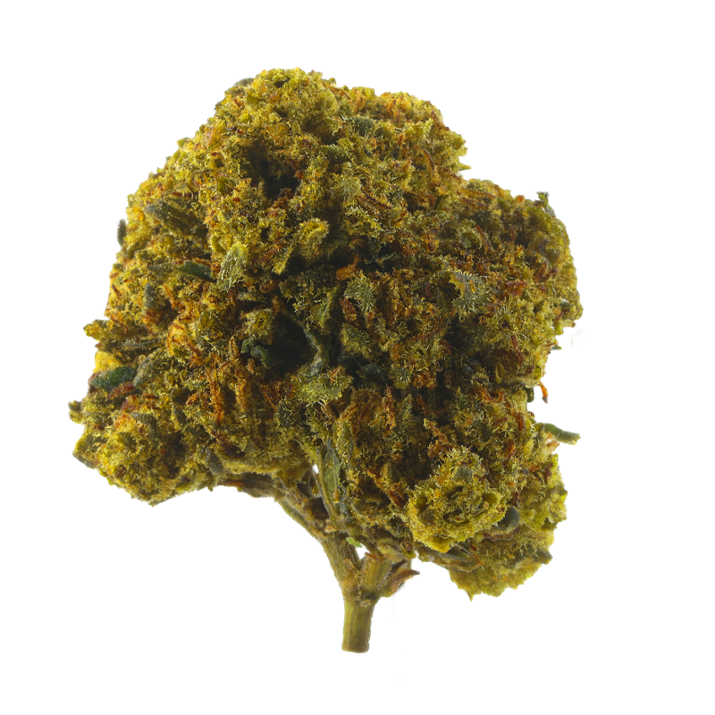 Power Nitro Diesel – Fleurs CBD Small Bud