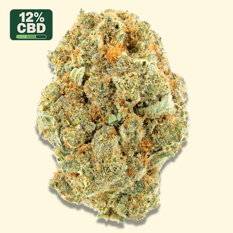 Blue Dream - Fleurs CBD