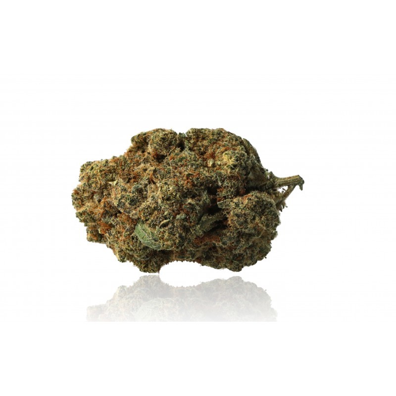 White Dawg - Fleurs CBD