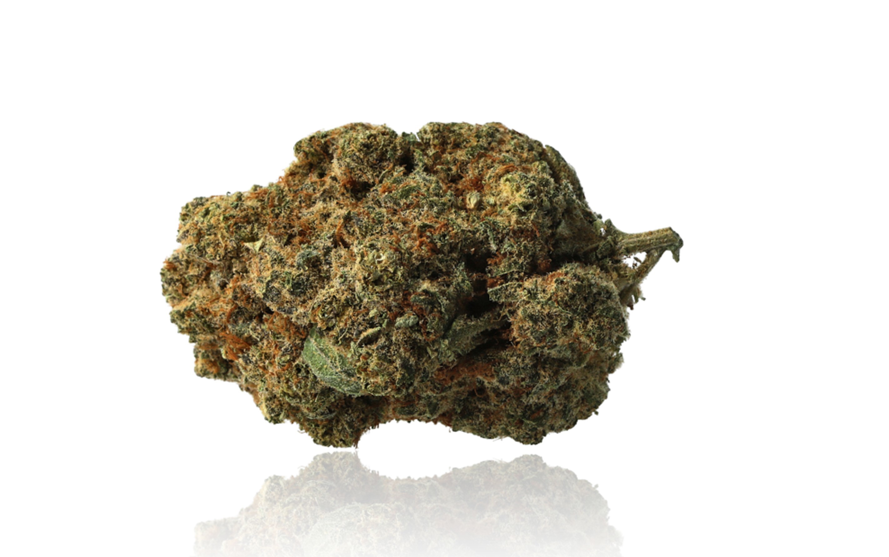 White Dawg - Fleurs CBD