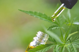 Quel CBD est interdit en France en 2024 ?