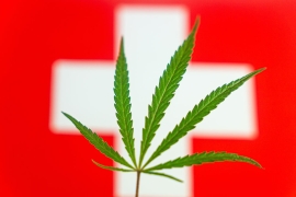 La légalisation du cannabis en Suisse