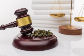 Légalisation cannabis Strasbourg