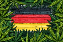 Légalisation du cannabis en Allemagne