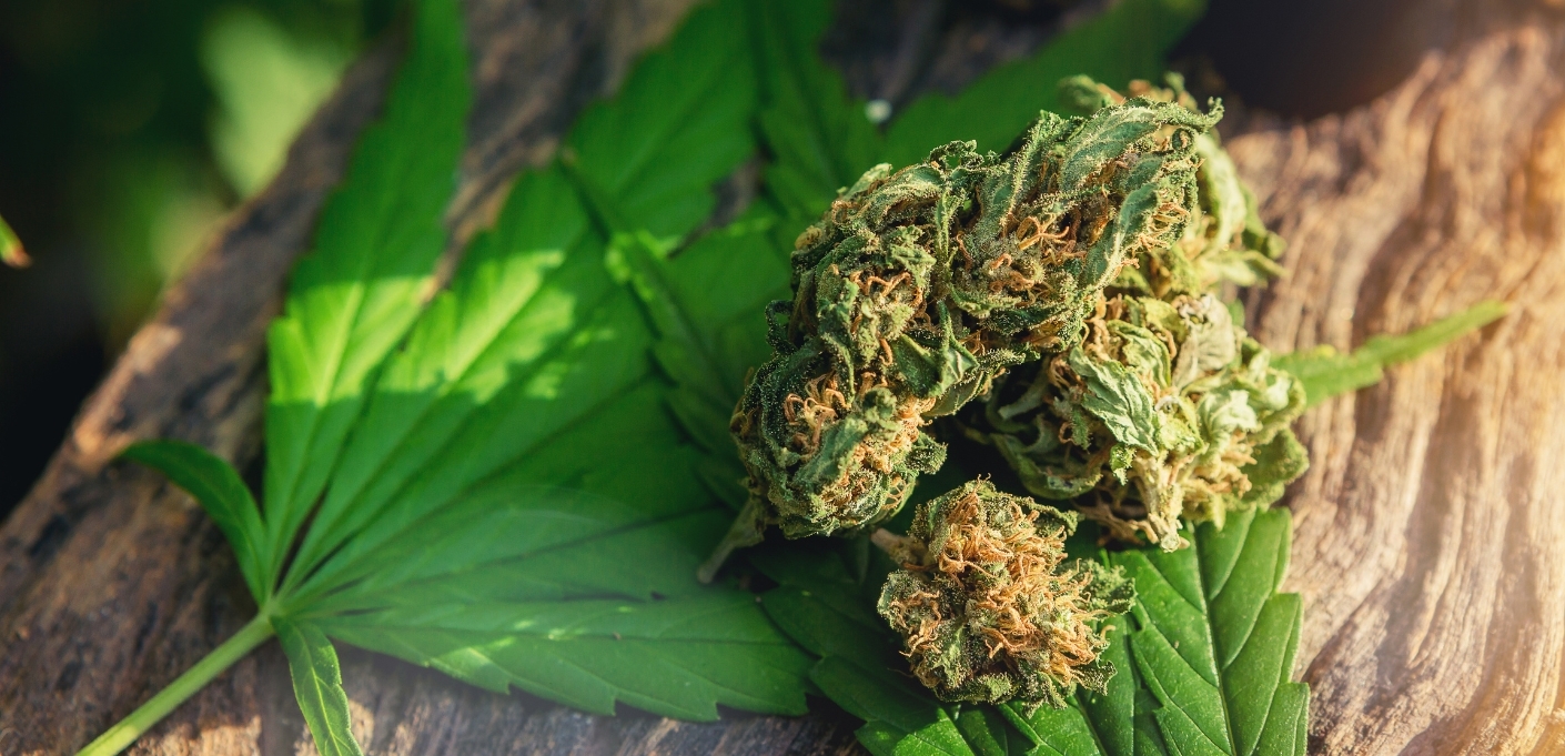 Comment consommer CBD